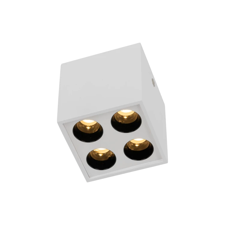 d8f4519e0bb8b0d9af84e921903d99ad