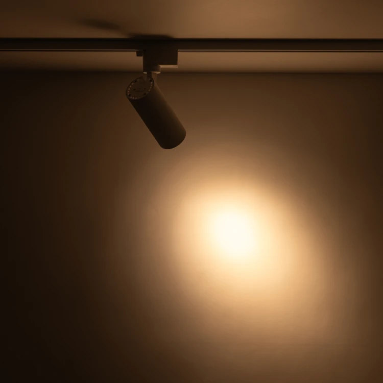 816ca79474510cb5f77253e6edd034dd