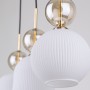 007a5c6df5455641a99c7fa9815d7c10