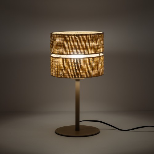 c316c7b6de9a16b20959a346d8f4a485