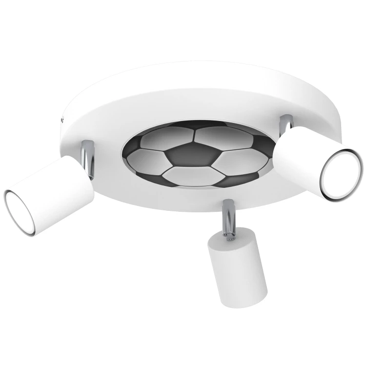 31f018f5b4598828a30f7476537f9050